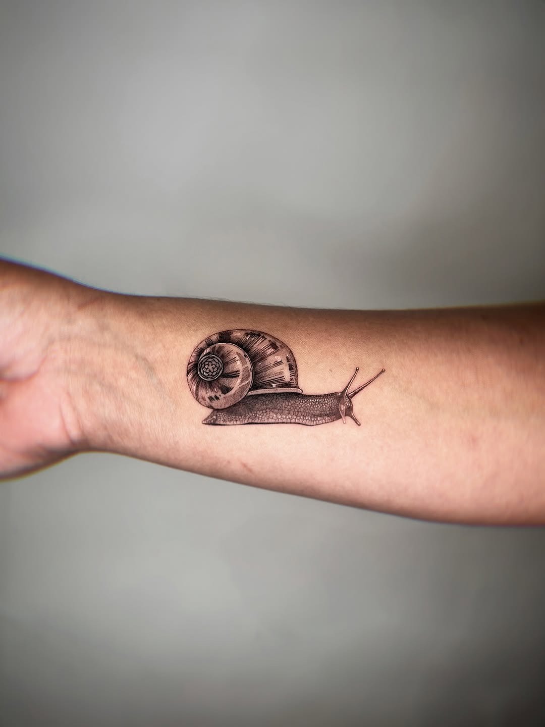 Realistic snail tattoo showcasing intricate details Tattoo Design