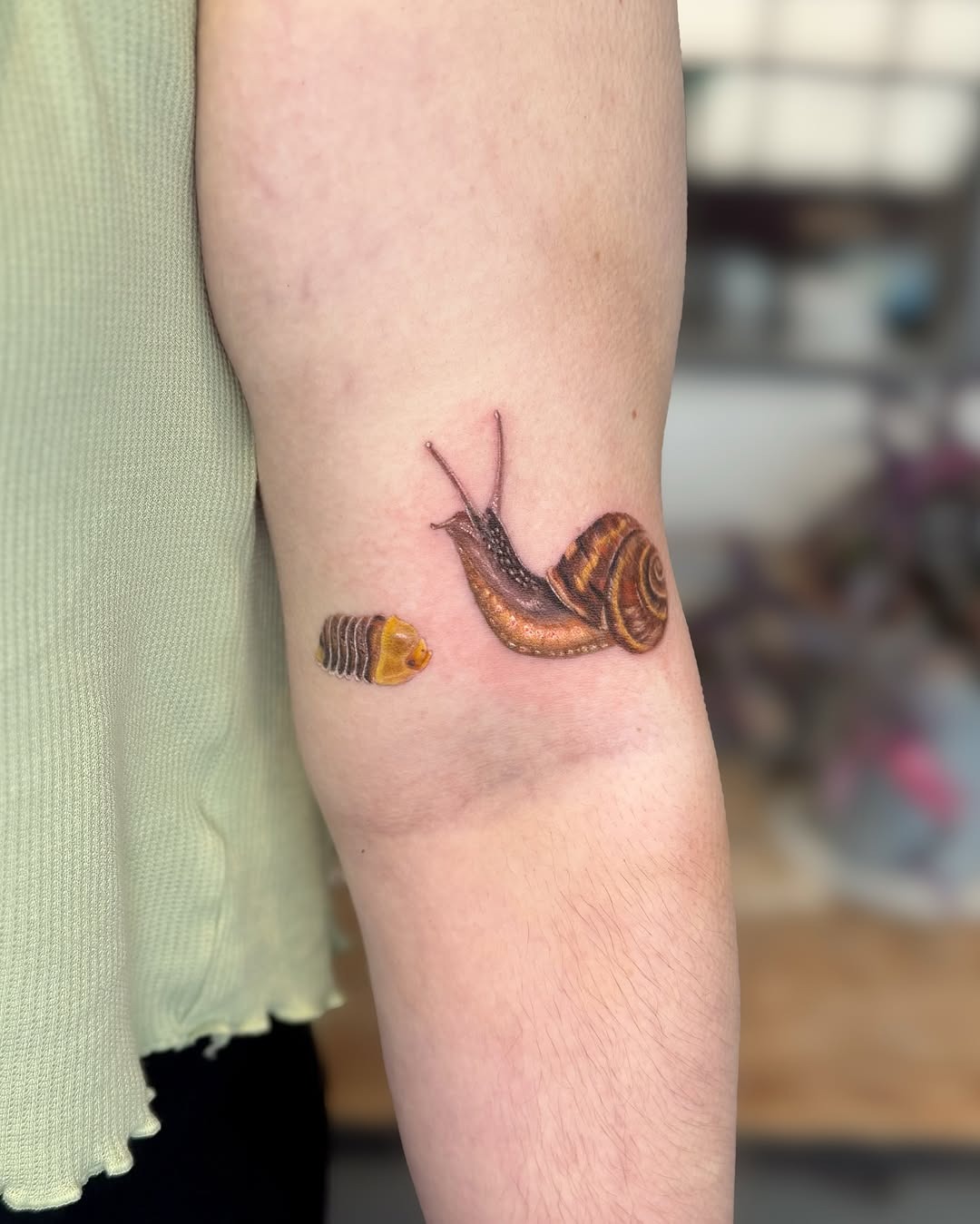 Unique snail tattoo showcasing natural beauty Tattoo Design