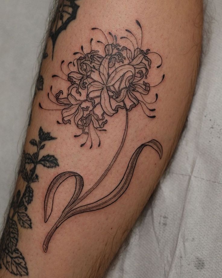 Single-Line Spider Lily with Leaves Tattoo Design