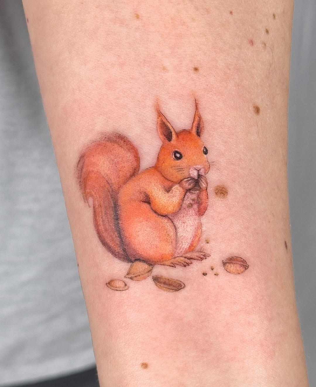 Charming realistic squirrel tattoo in vibrant colors Tattoo Design