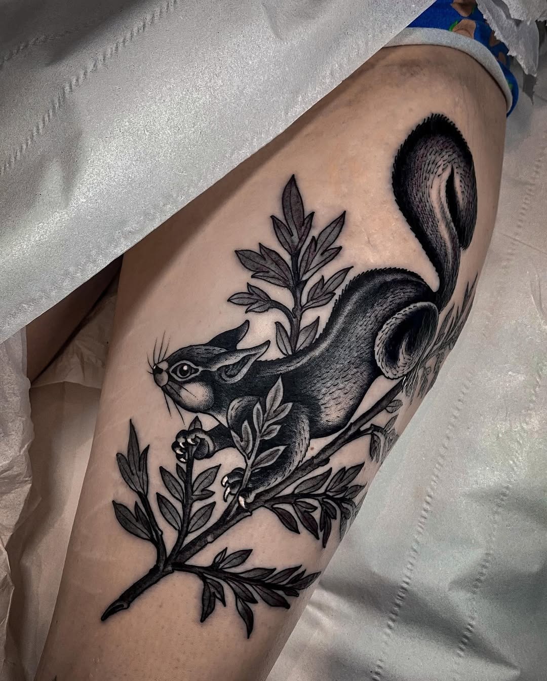 Elegant black and gray squirrel tattoo design Tattoo Design