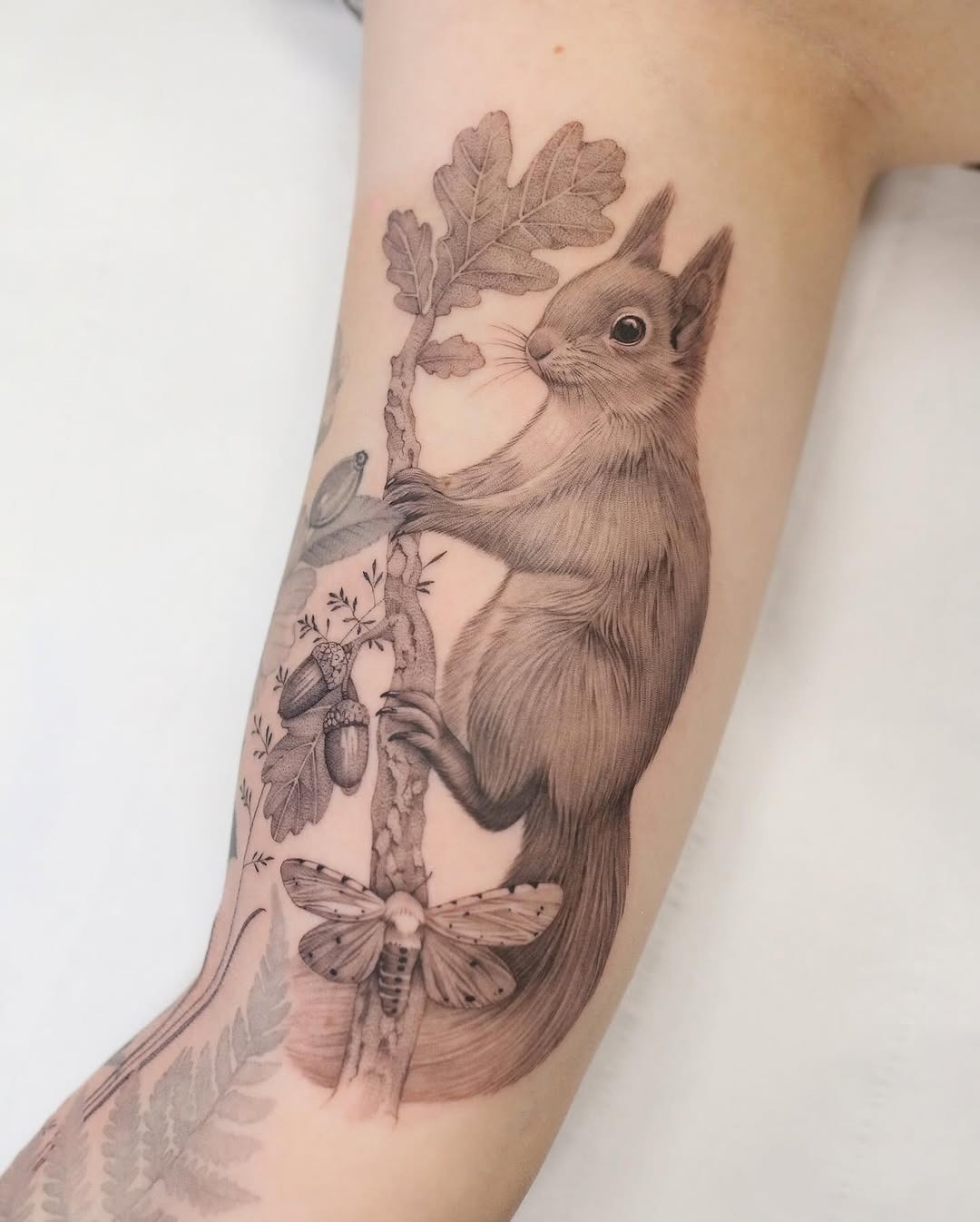 Nature-inspired squirrel tattoo with botanical elements Tattoo Design