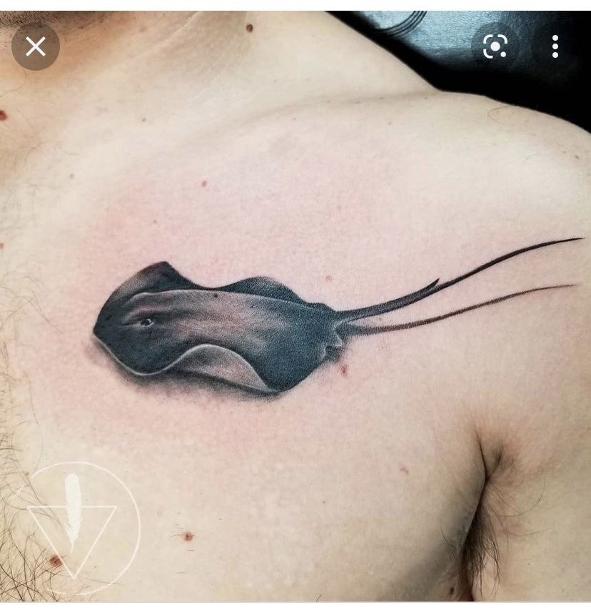 Realistic Chest Stingray Tattoo Design