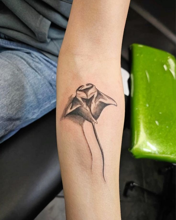 Soft Shadow Stingray Flow Tattoo Design