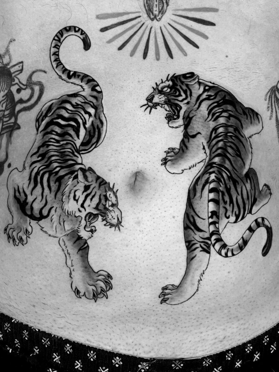 Fierce tigers in a dynamic stomach tattoo design Tattoo Design