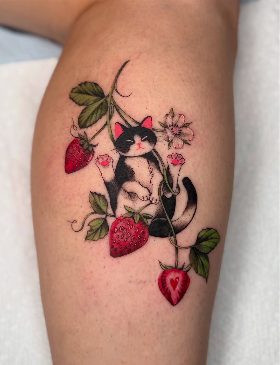 Charming cat and strawberries tattoo design Tattoo Design