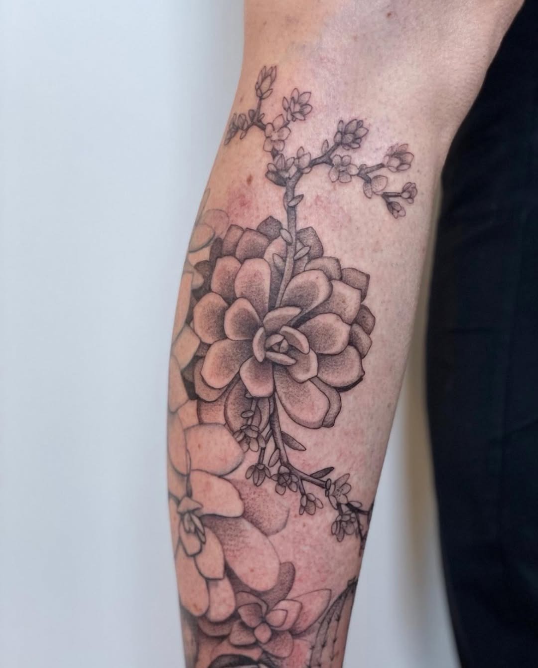 Detailed succulent tattoo showcasing floral elements Tattoo Design