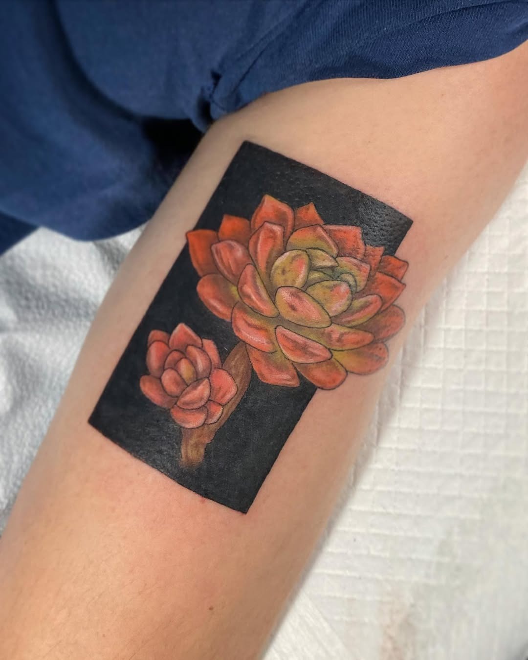 Vibrant succulent tattoo with rich colors Tattoo Design