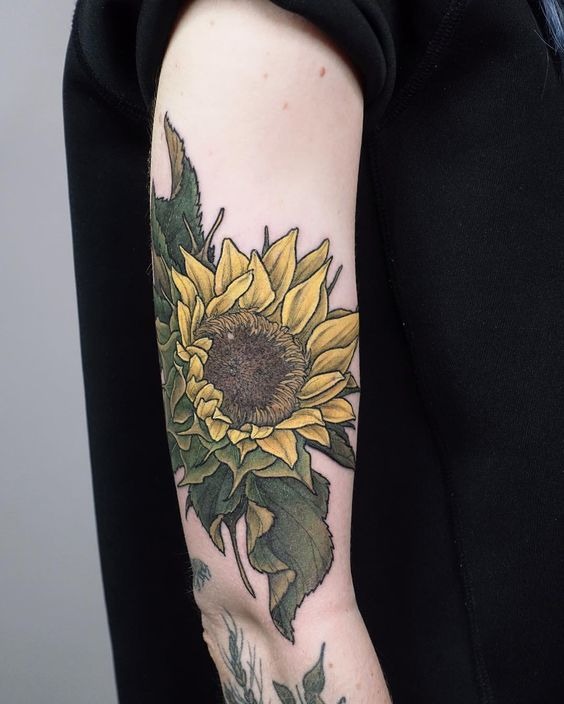 Illustrated Sunflower Design with Face Towards the Sun Tattoo Design