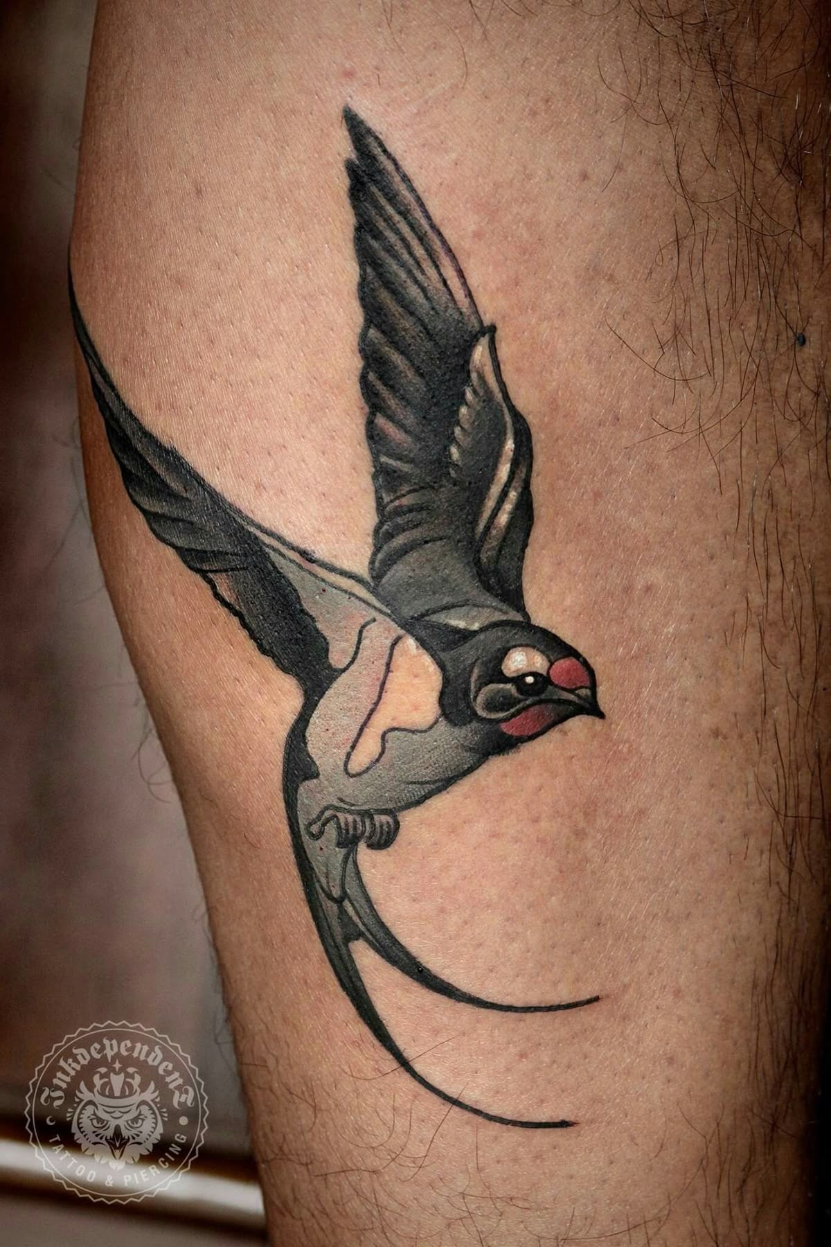 Bold Black and Gray Flying Swallow Tattoo Design