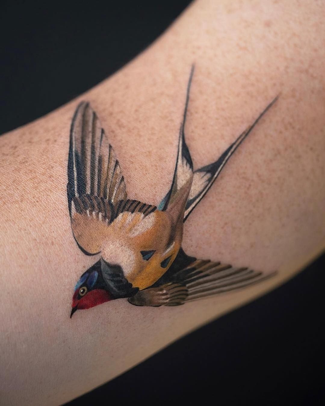 Full-Color Swallow Shoulder Tattoo Tattoo Design
