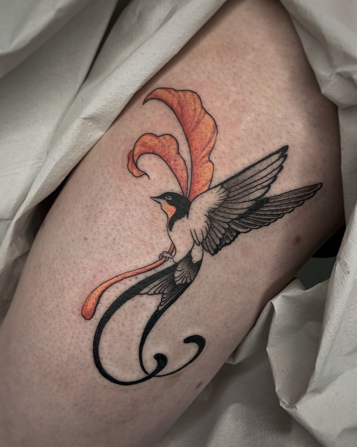 Swallow With Flowing Orange Ribbon Tattoo Design