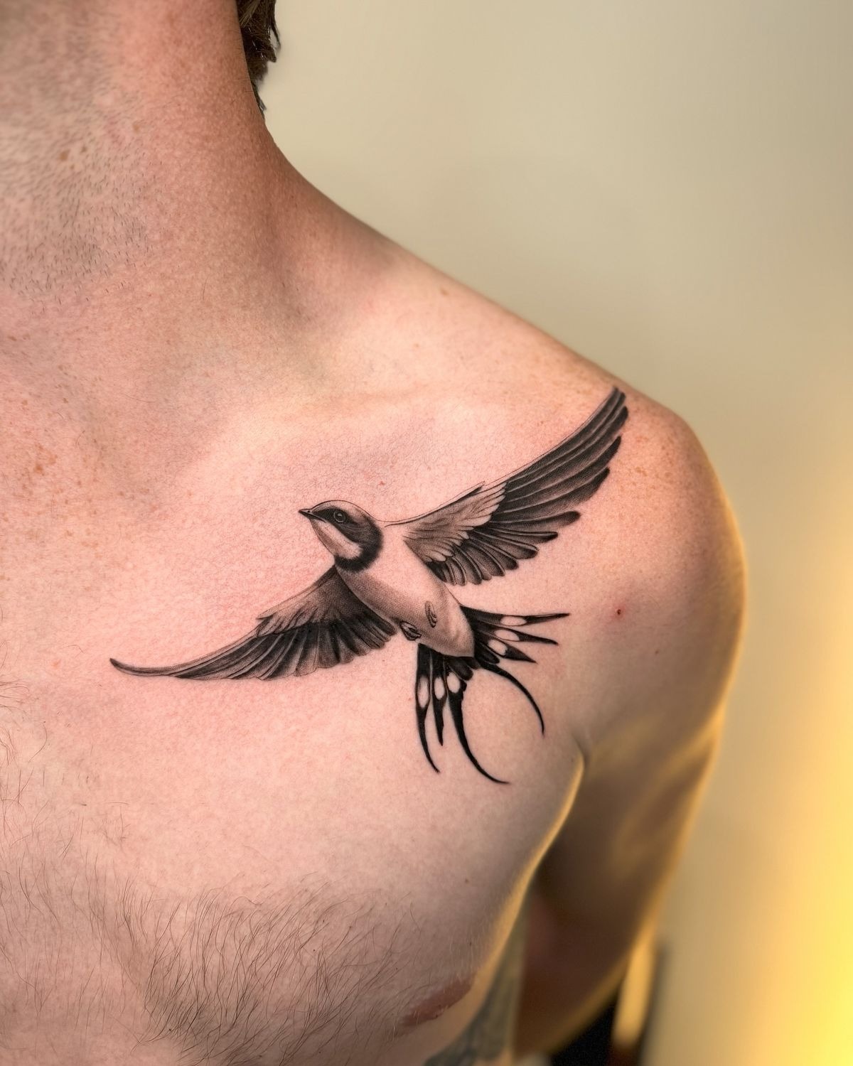 Wide-Wing Swallow Chest Tattoo Tattoo Design