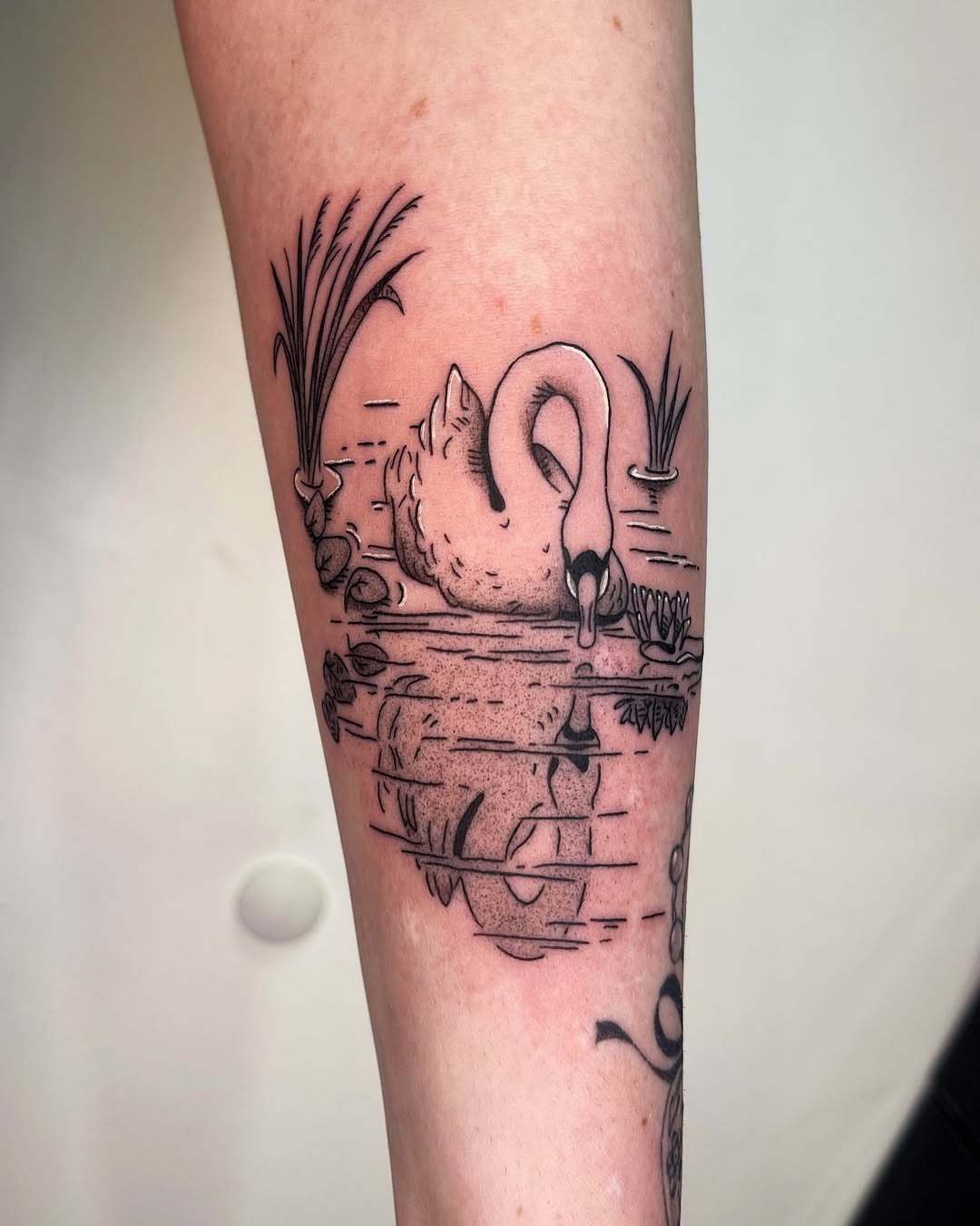 Elegant swan reflecting on tranquil waters Tattoo Design