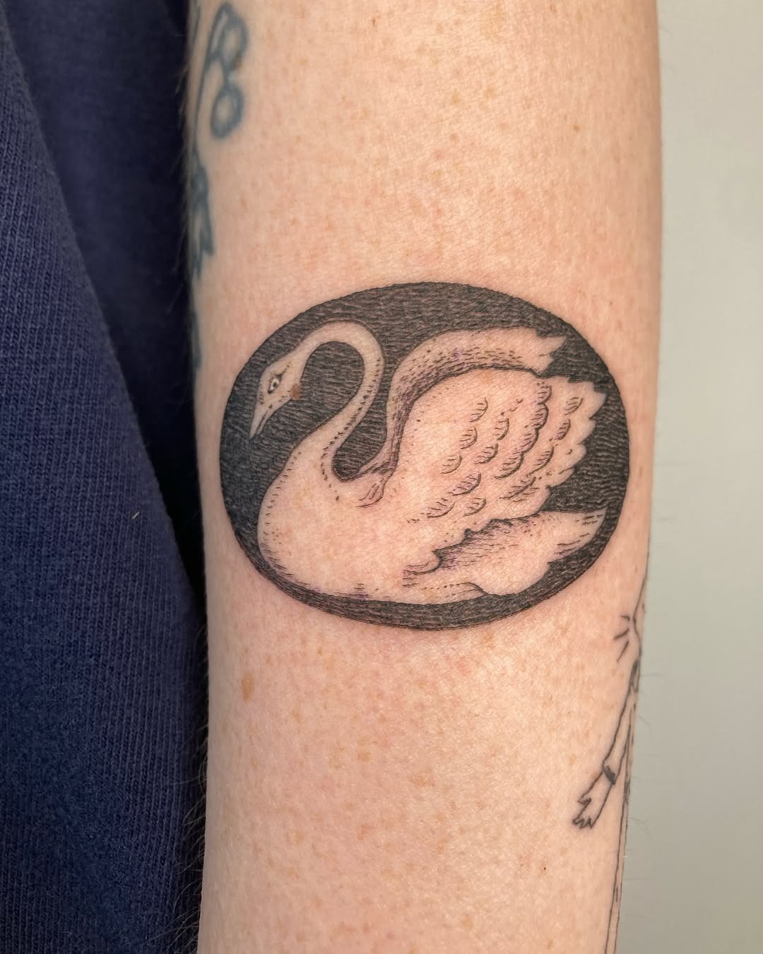 Elegant swan tattoo in a classic style Tattoo Design