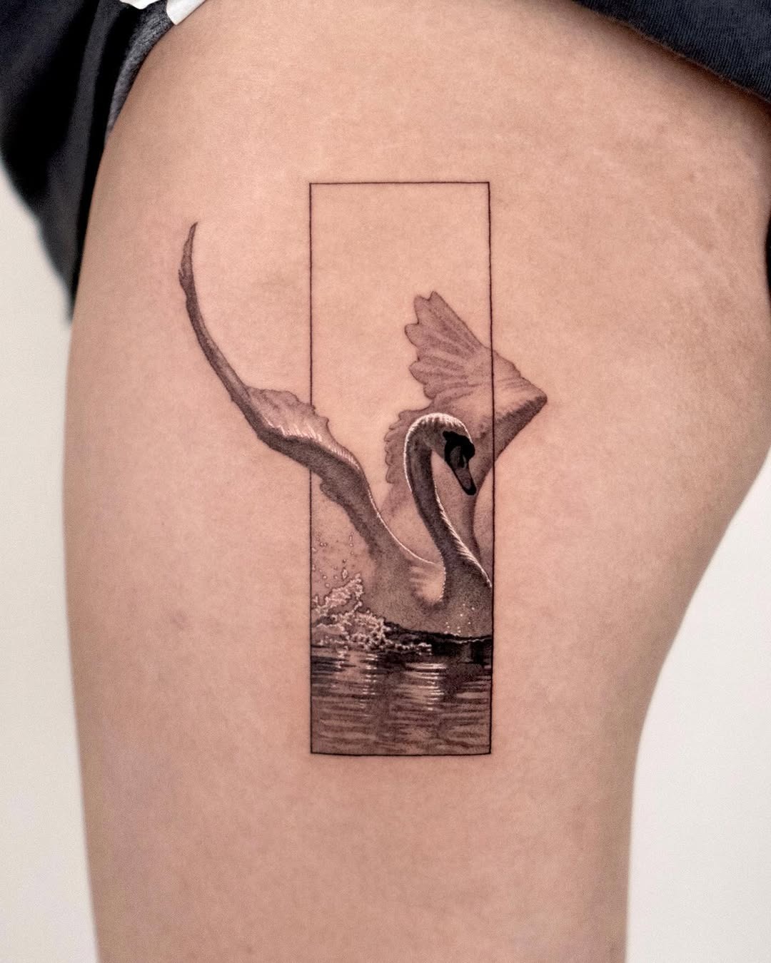 Elegant swan tattoo surrounded by minimalist frame Tattoo Design