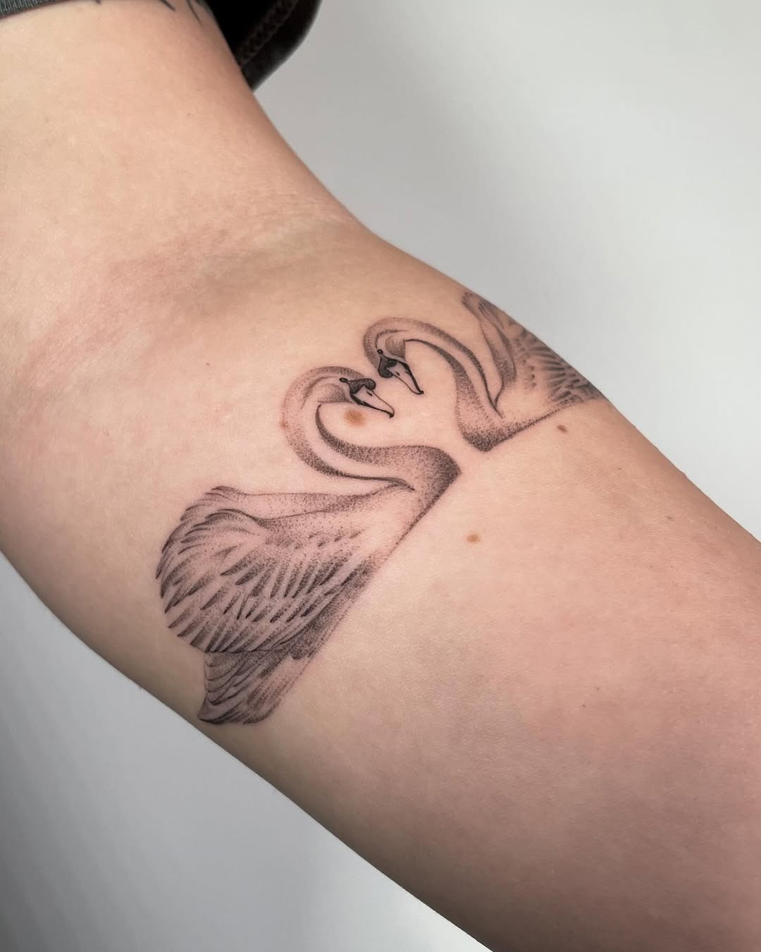 Elegant swan tattoo symbolizing love and unity Tattoo Design