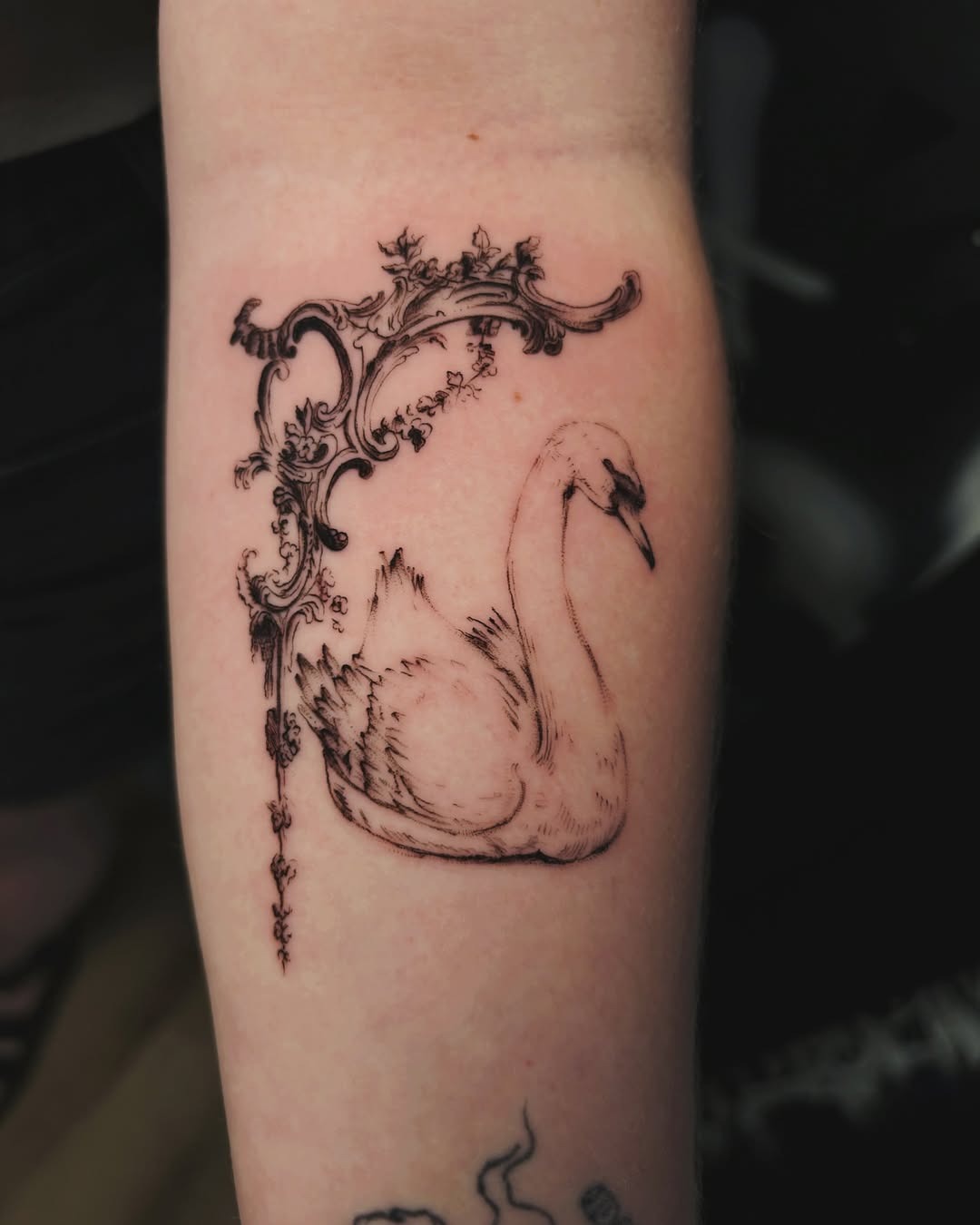 Elegant swan tattoo with intricate frame design Tattoo Design
