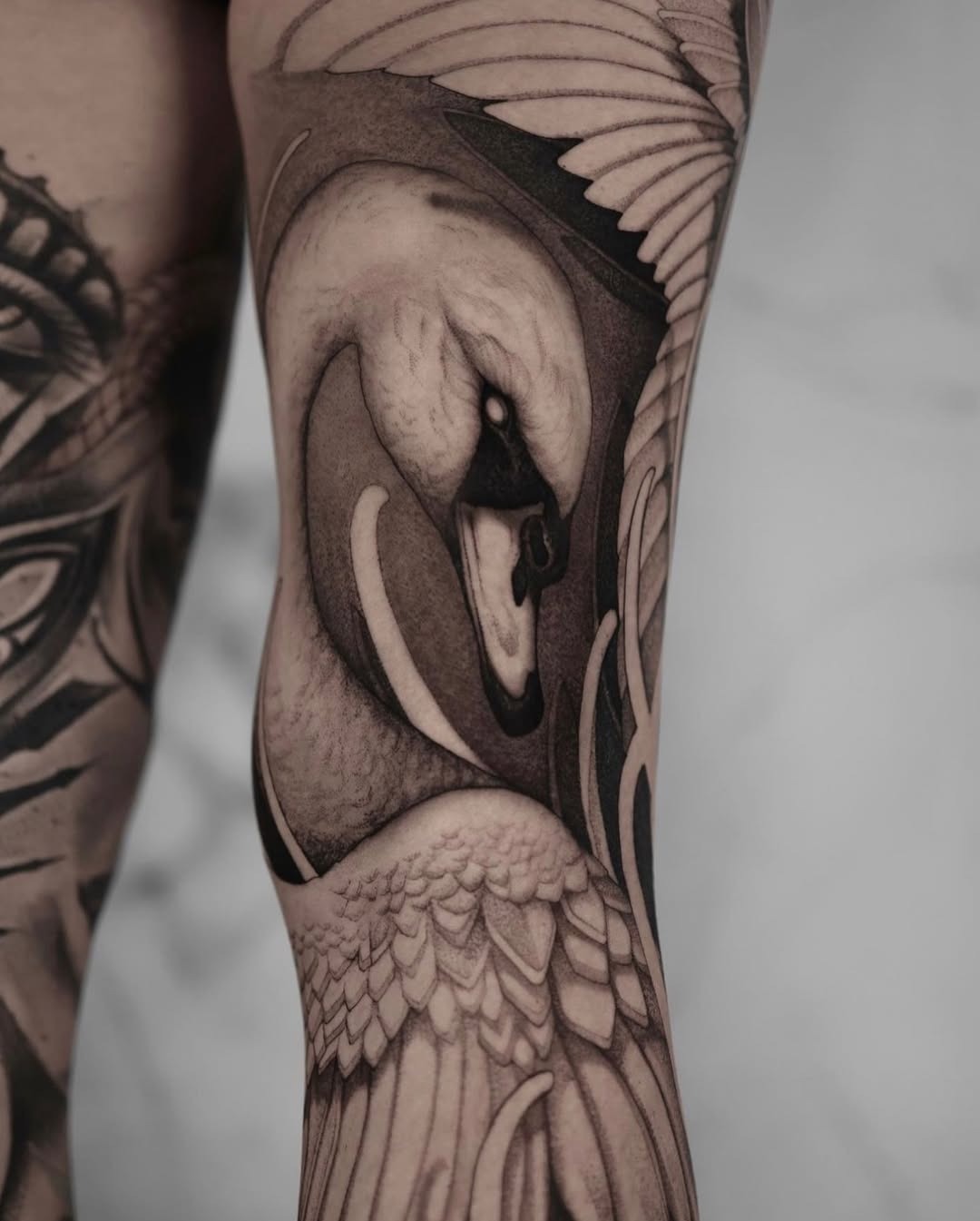 Stunning black and gray swan arm tattoo Tattoo Design