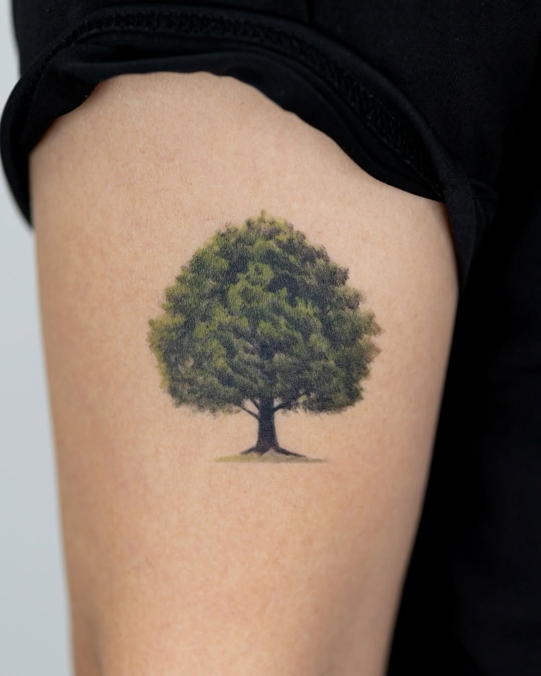 A Stunning Realistic Tree Tattoo Design Tattoo Design