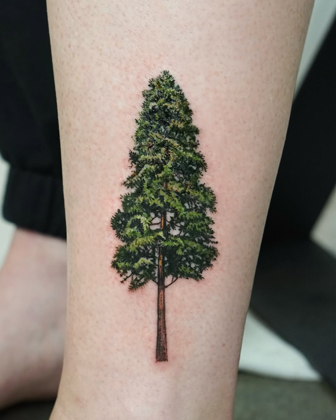 Exploring Unique Tree Tattoo Designs and Meanings Tattoo Design