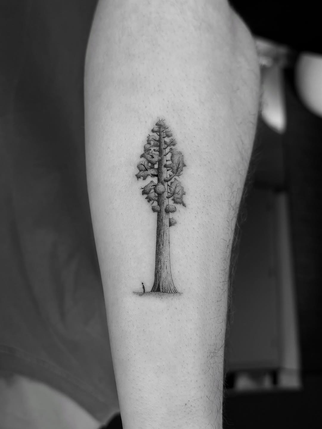 Stunning black and gray tree tattoo design Tattoo Design