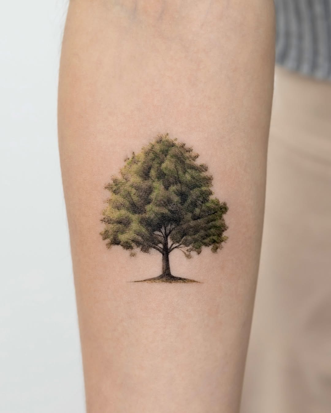Stylish minimalist tree tattoo design Tattoo Design