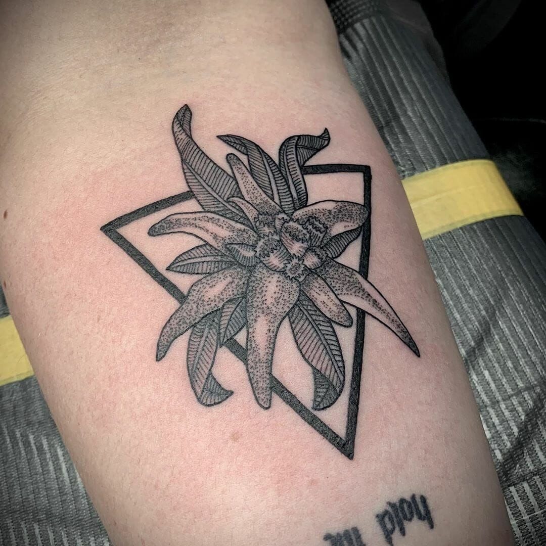 Starflower Dotwork Frame Tattoo Design