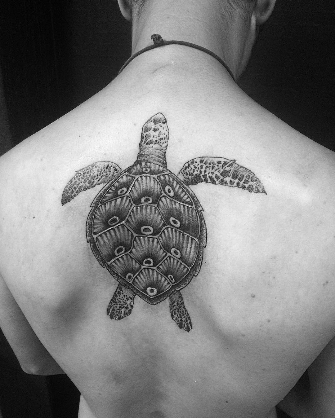 Detailed Sea Turtle on Upper Back Turtle Tattoos Tattoo Design