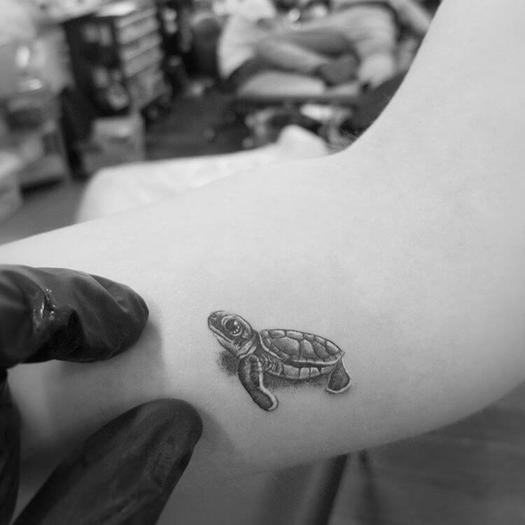Realistic Baby Sea Turtle Tattoo Tattoo Design