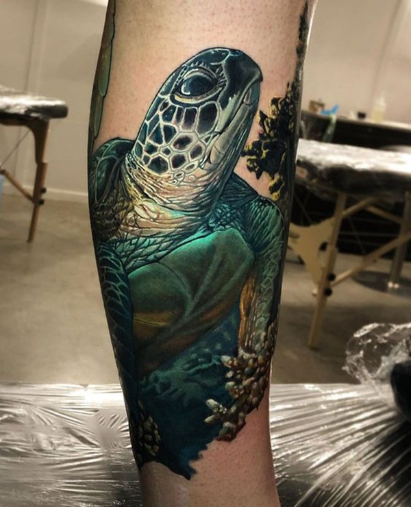 Realistic Green Sea Turtle Portrait Turtle Tattoos Tattoo Design