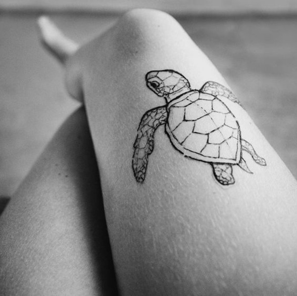 Sea Turtle Above the Knee Turtle Tattoos Tattoo Design