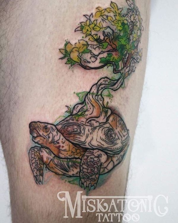 Tortoise with a Tree Growing on its Shell Turtle Tattoos Tattoo Design