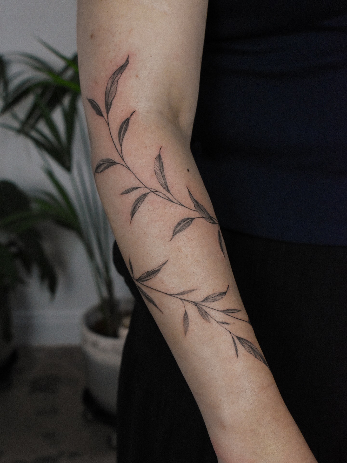 Black and Gray Vine Tattoo on Forearm Tattoo Design