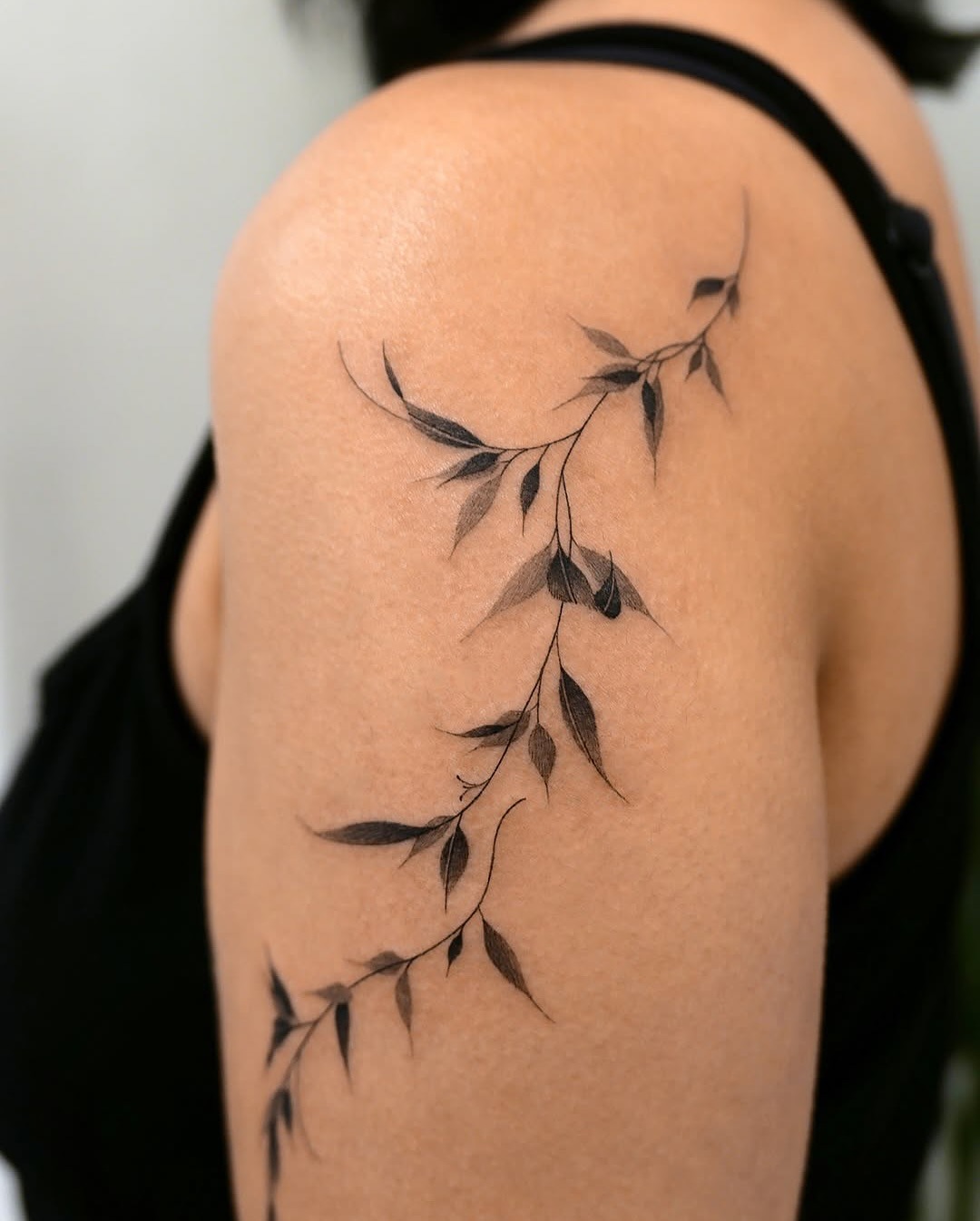 Delicate Black Vine Tattoo on Shoulder Tattoo Design