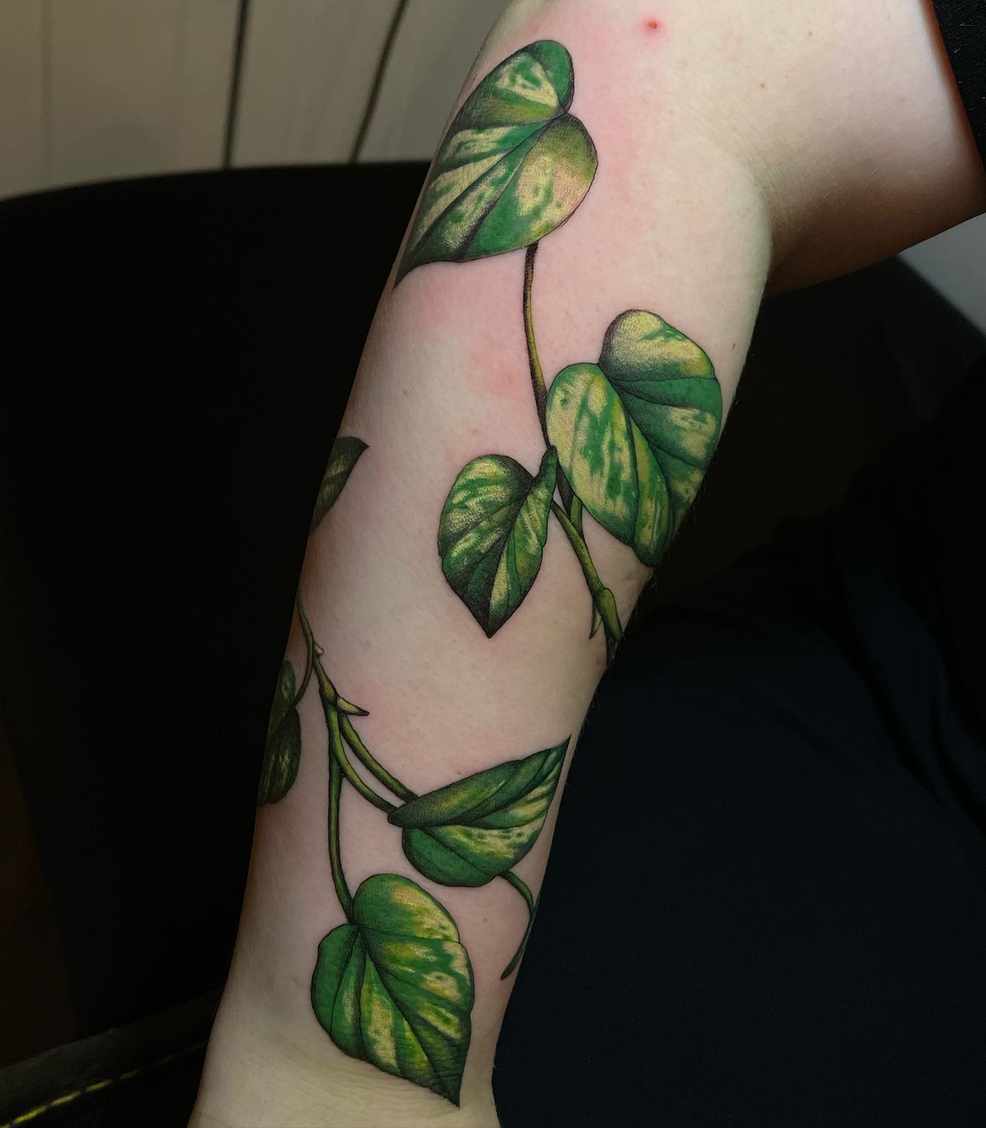 Golden Pothos Vine Tattoo on the Forearm Tattoo Design