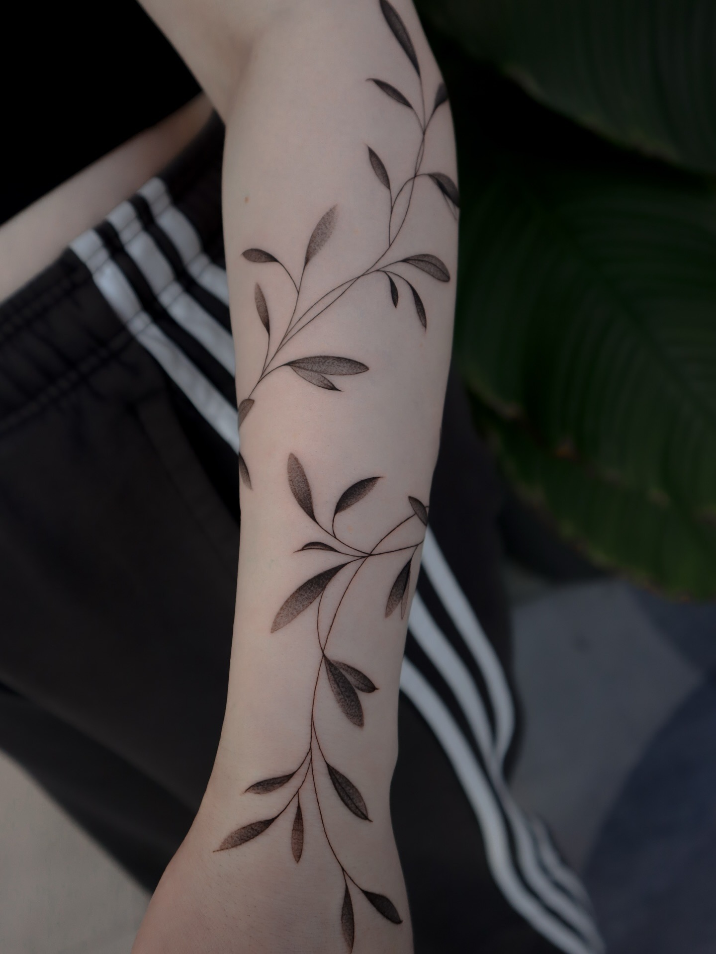 Minimalist Vine Tattoo on Forearm Tattoo Design