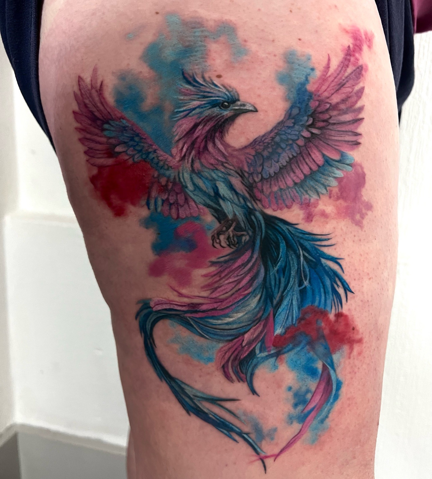 Watercolor Phoenix Bird Tattoo Tattoo Design