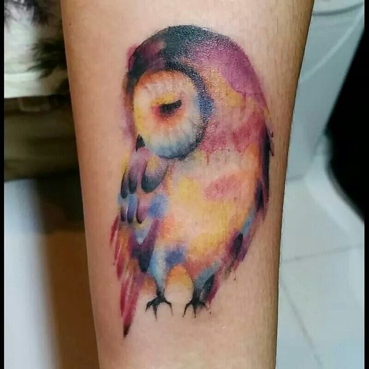 Perched Barn Owl Watercolor Leg Tattoo Tattoo Design
