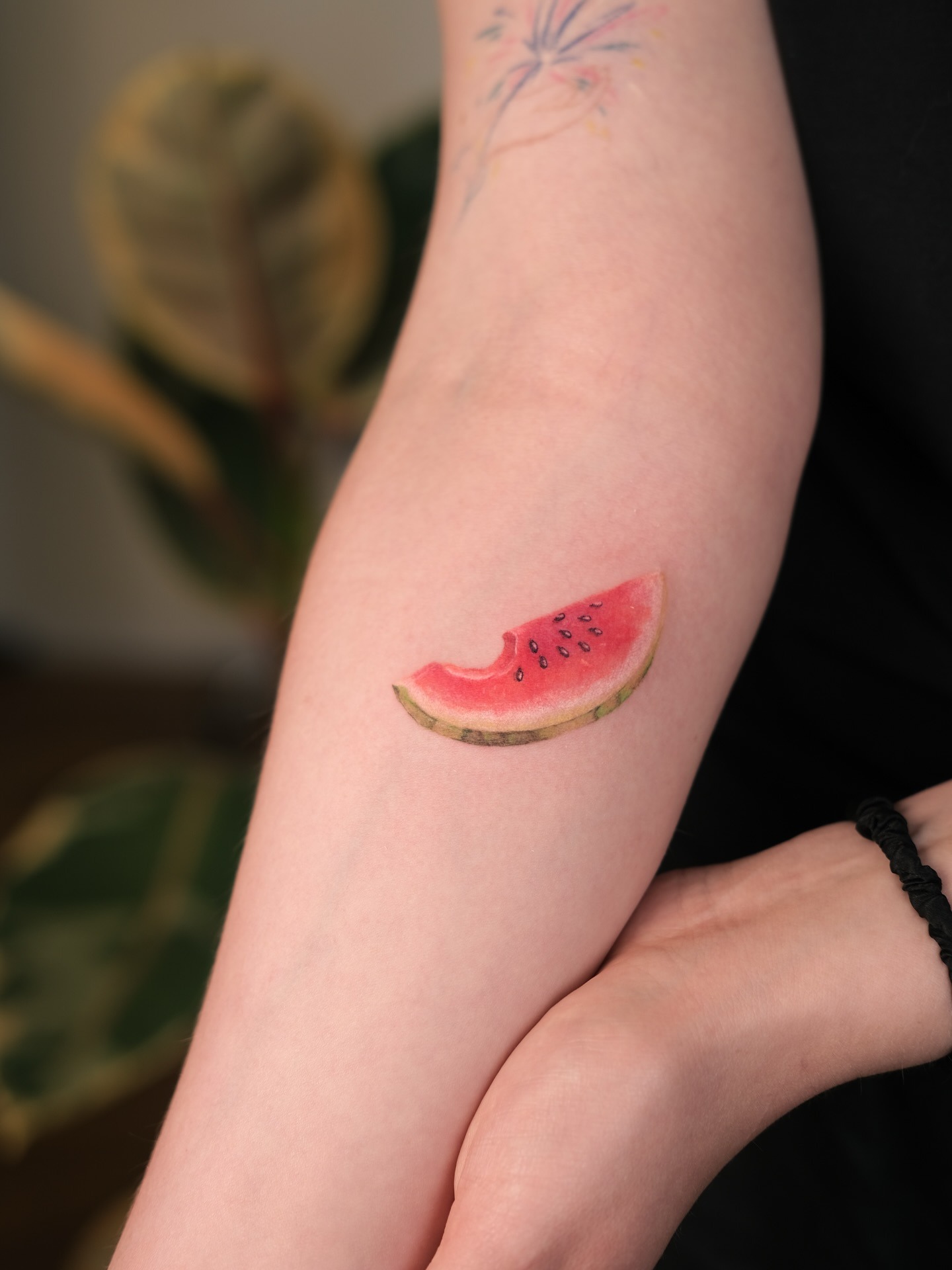 Colorful watermelon tattoo on the arm Tattoo Design
