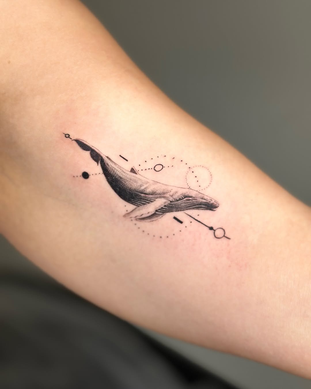 Elegant Fine Line Whale Tattoo On Arm Tattoo Design