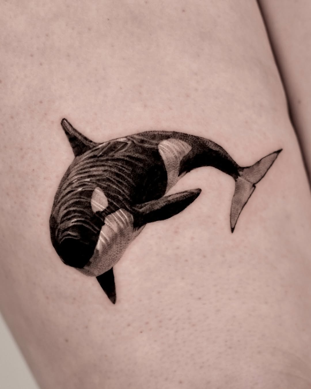 Stunning Minimalist Orca Tattoo for Arm Tattoo Design