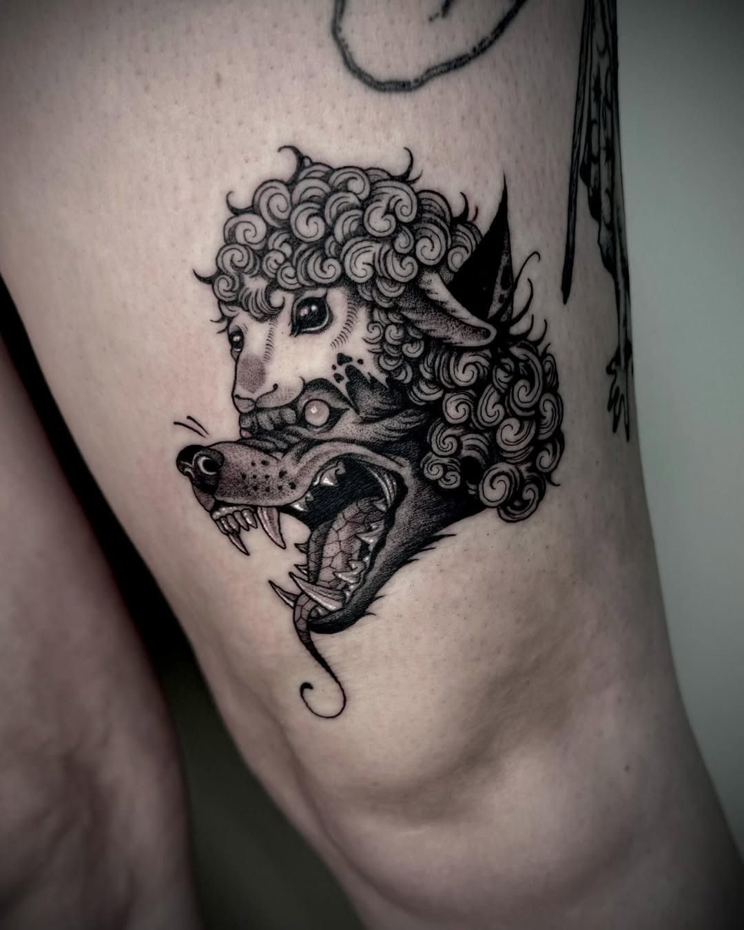 Funky wolf tattoo with playful curly details Tattoo Design