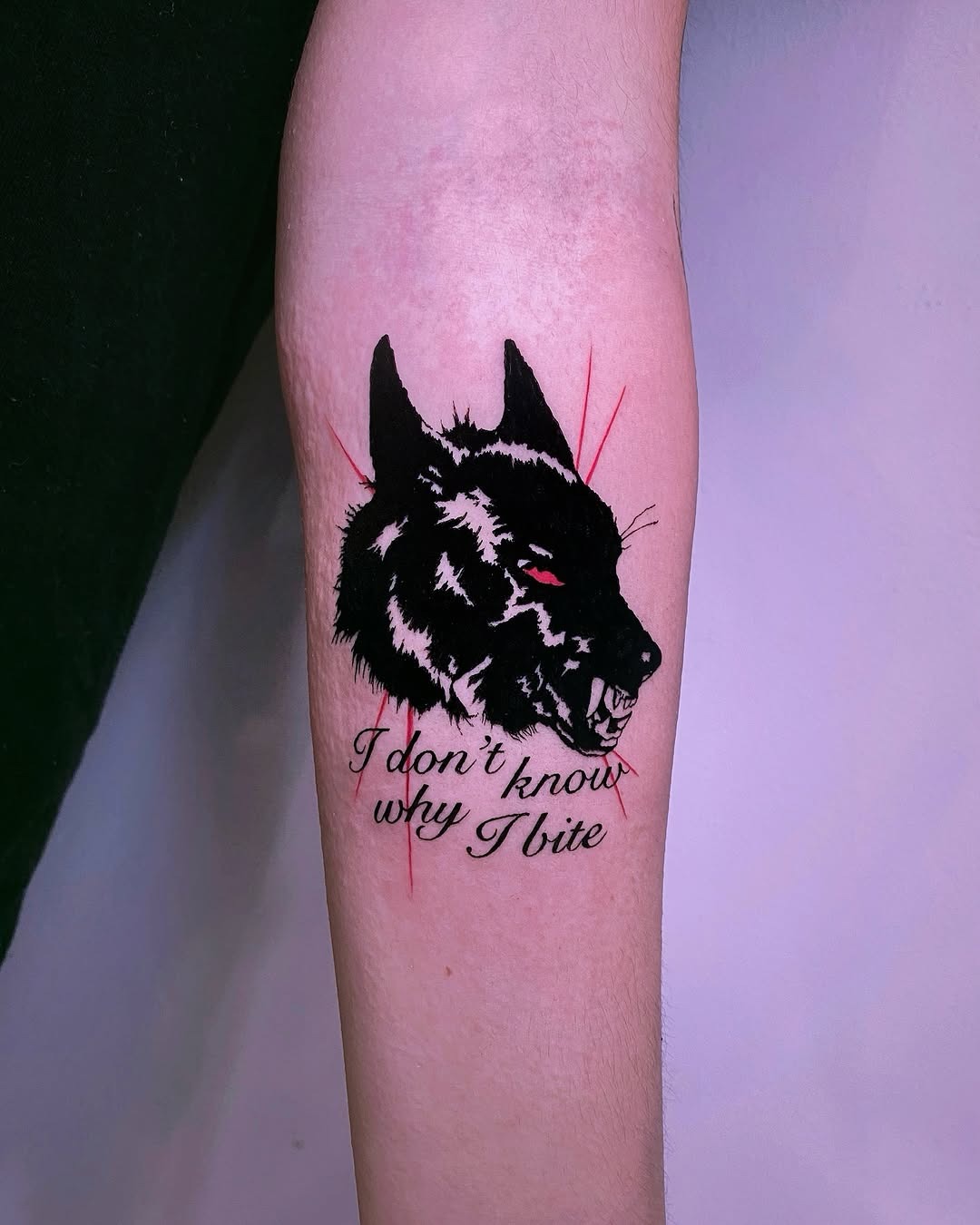 Striking wolf tattoo with bold, aggressive details Tattoo Design