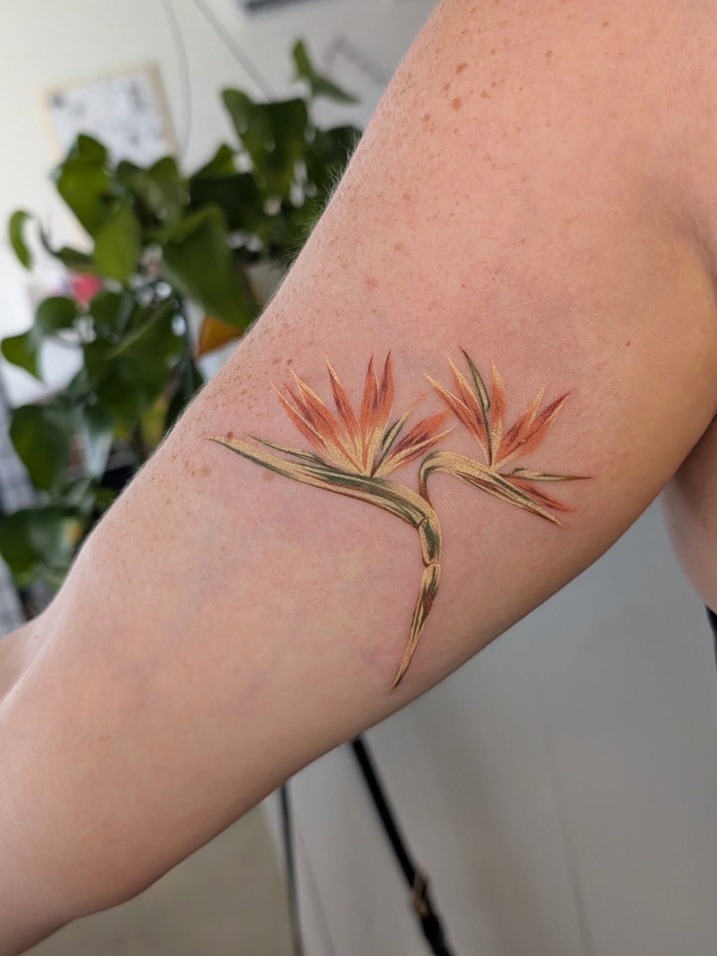 Owl and Peony Bicep Tattoo Tattoo Design