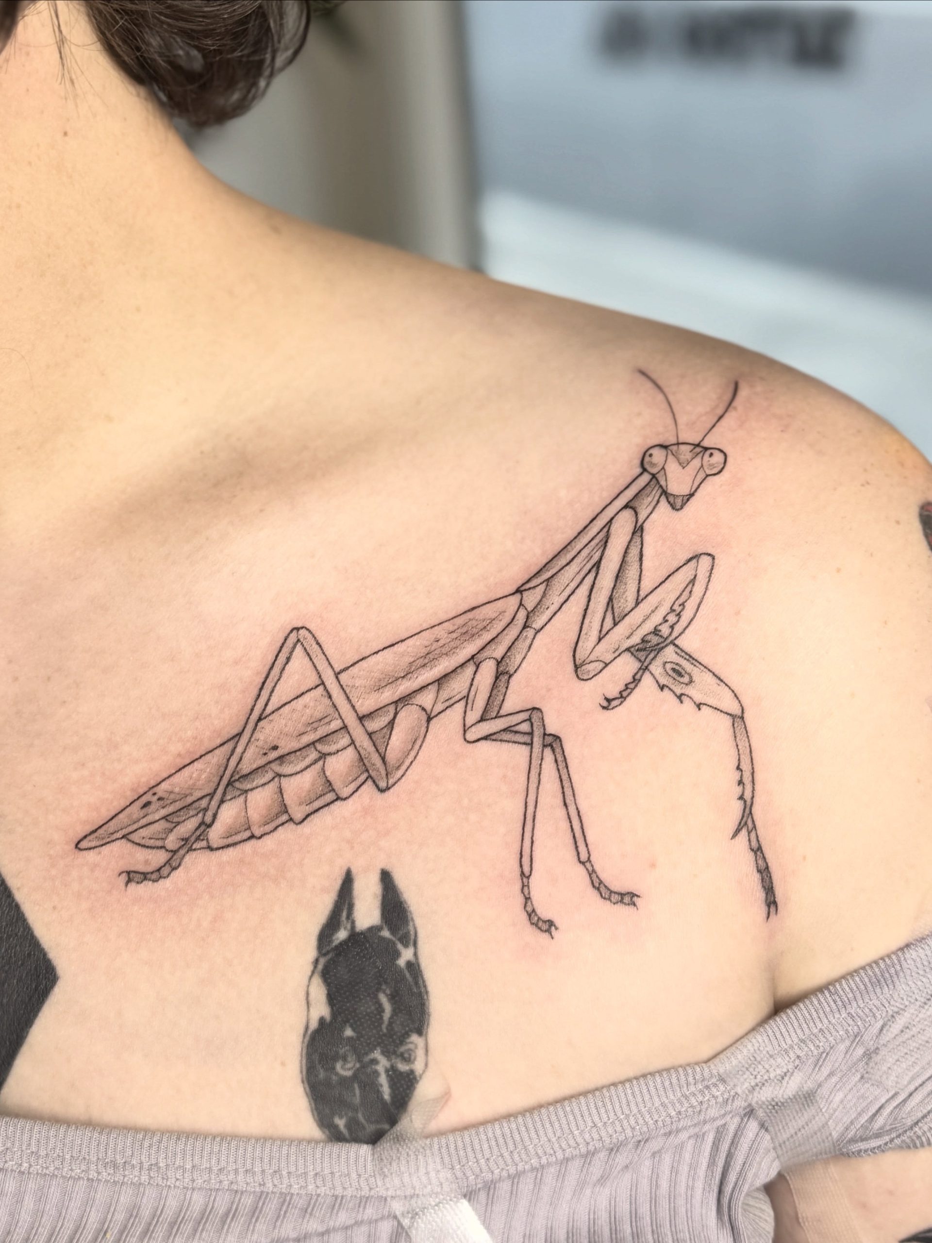 Praying Mantis Shoulder Tattoo Tattoo Design