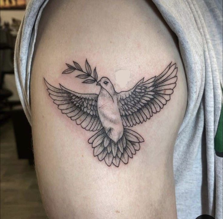 Olive branch pigeon with line work detail Tattoo Design