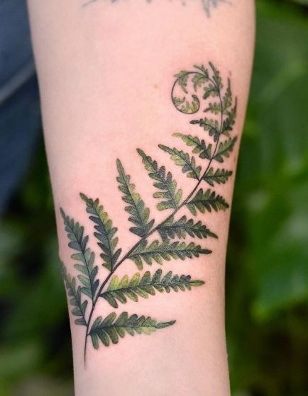 Elegant Green Fern Tattoo Tattoo Design