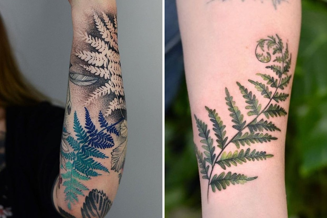 25+ Women Fern Tattoo Ideas And that Blend Nature and Style Featured Lookbook Collage