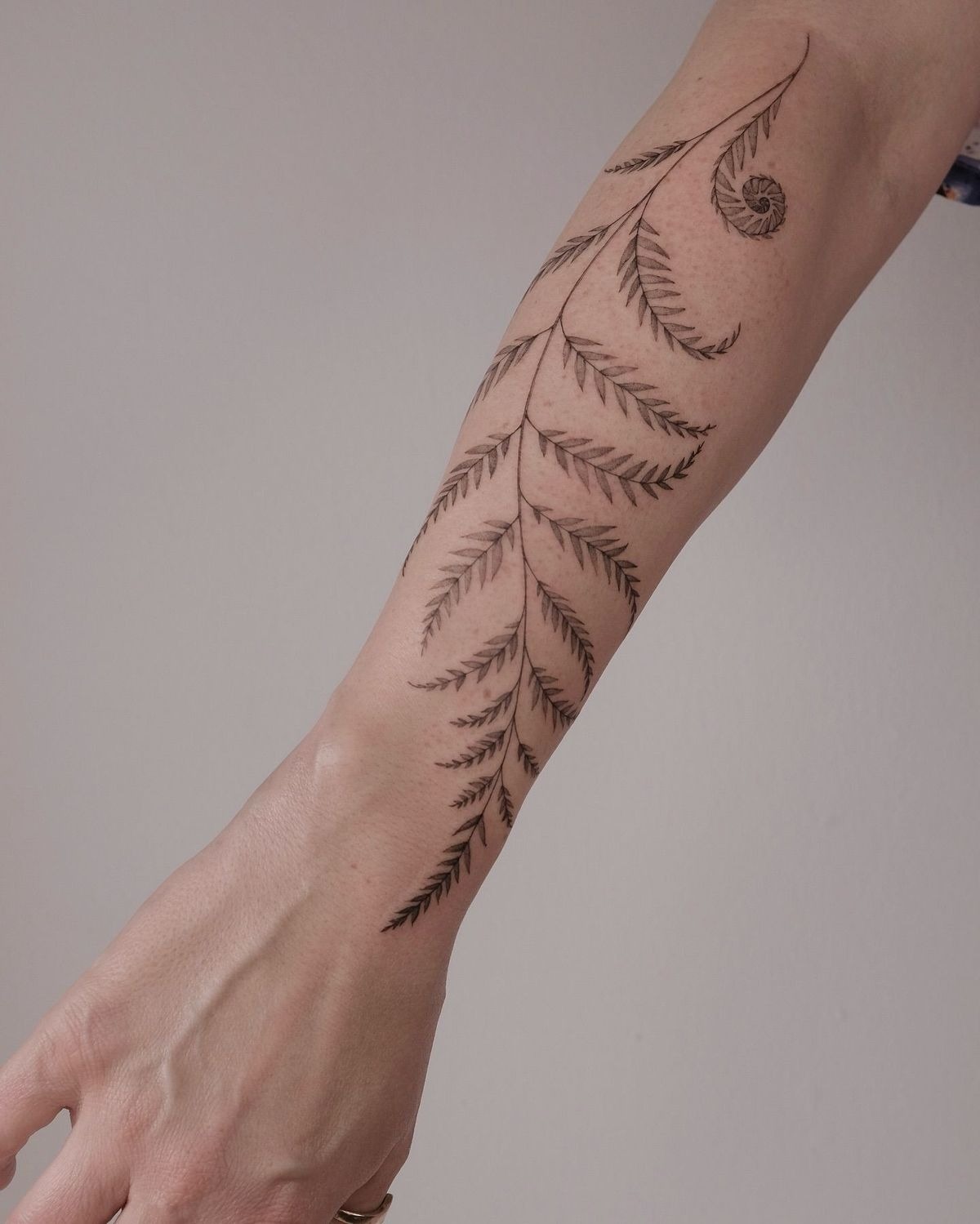 Minimalist Fern Forearm Tattoo Tattoo Design